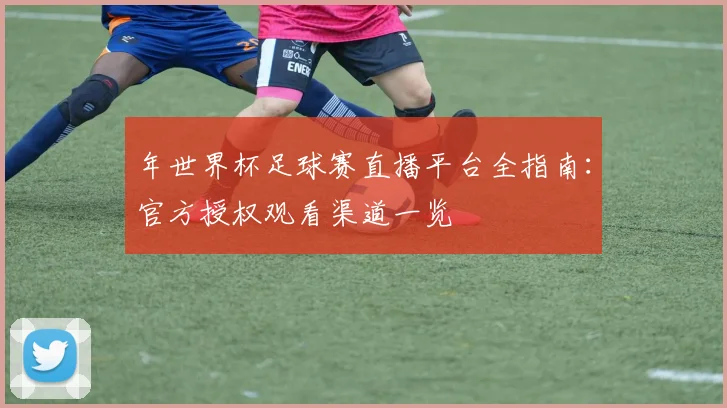 年世界杯足球赛直播平台全指南：官方授权观看渠道一览