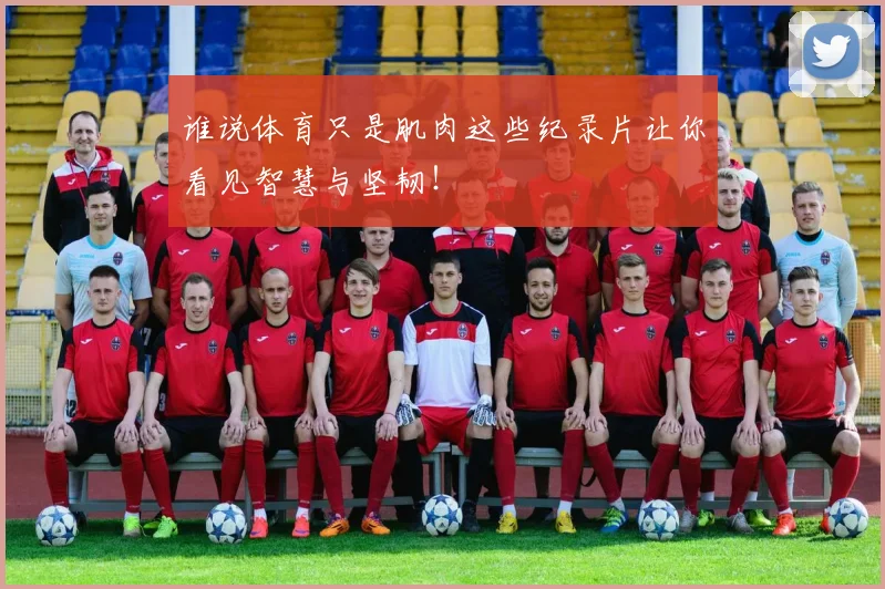 谁说体育只是肌肉这些纪录片让你看见智慧与坚韧！